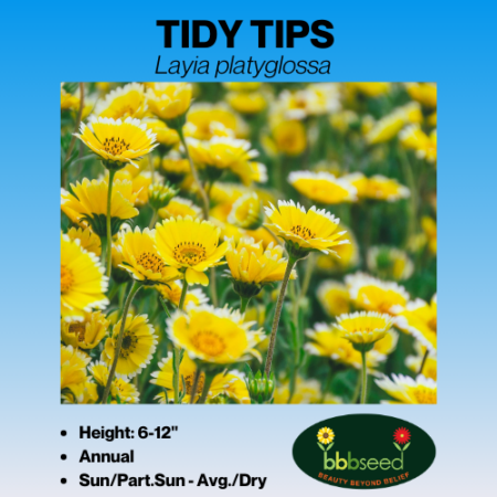 Tidy Tips label