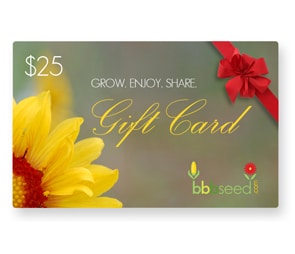 Photo of the bbbseed $25 gift card.
