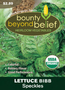 Lettuce, Organic Bibb, Speckles