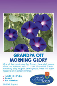 Tag for the Grandpa Ott's Morning Glory seed packet.