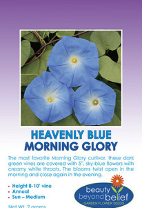 Tag for the Heavenly Blue Morning Glory seed packet.