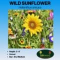Bright yellow wild sunflower in a colorful meadow with purple and white flowers.