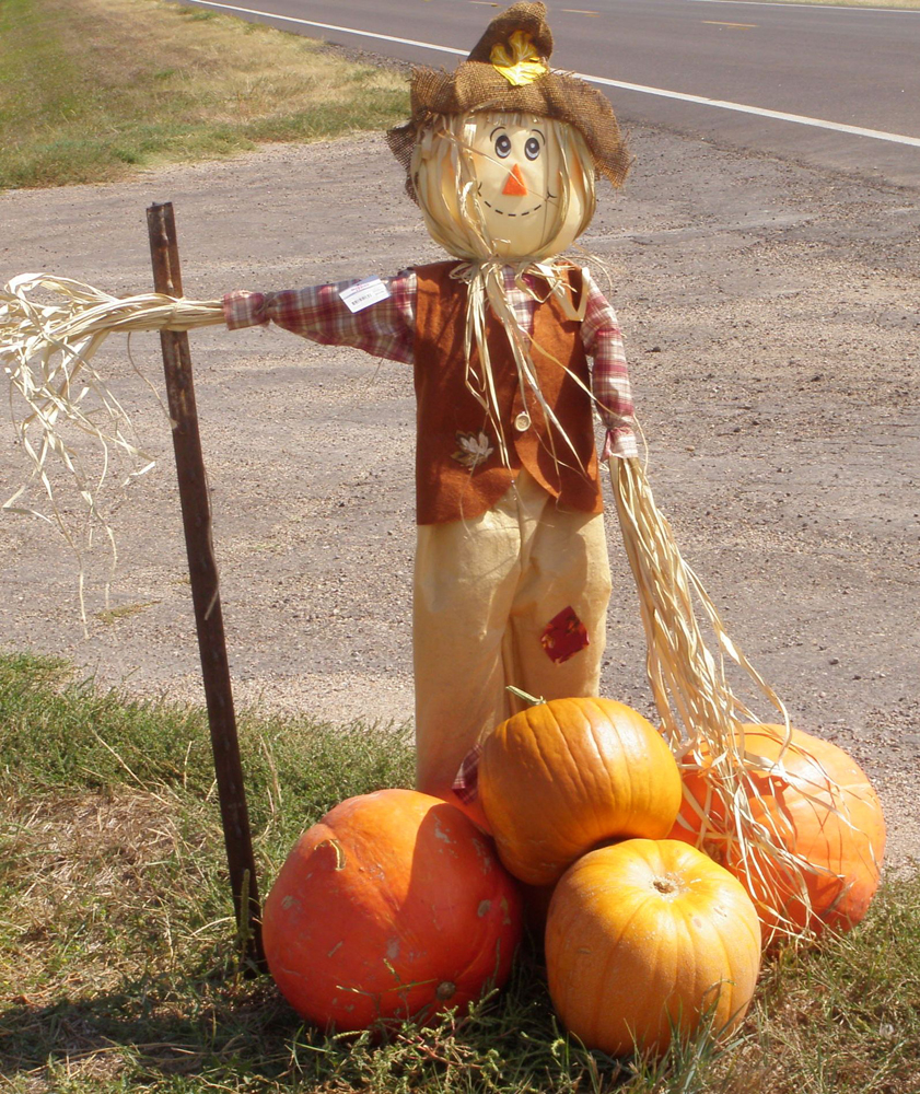 Halloween scarecrow with pumpkins at his feet. Pumpkin recipes.