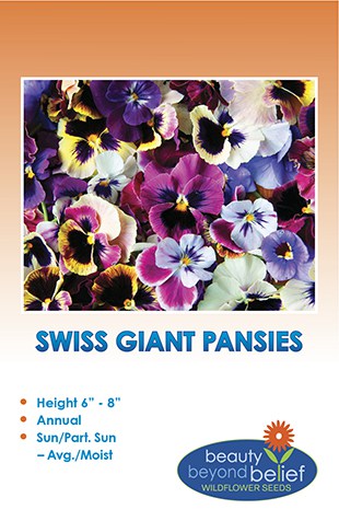 Winter Flowering Pansy seeds-Swiss giant 25 mixed seeds Sow June to January 