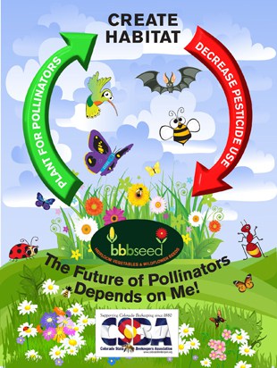 Future Of Pollinators Poster | BBB Seed Wildflower Seeds