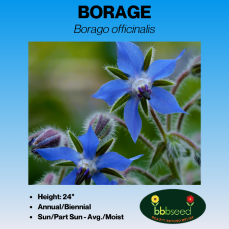 Borage tag