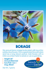 Photo of Borage wildflower packet.