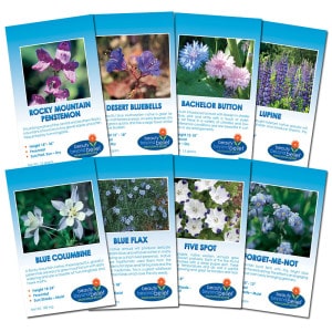 Blue Blazes Flower Seed Collection