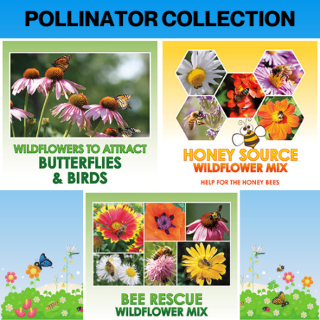 pollinator collection