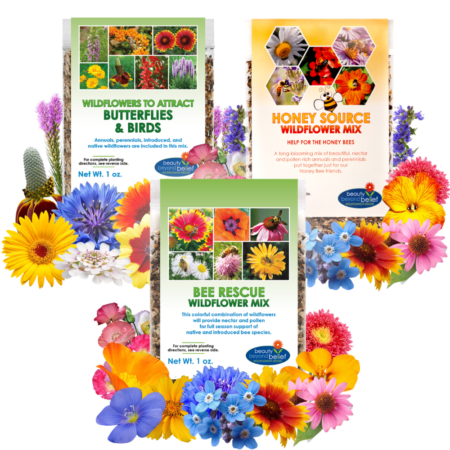 Pollinator Collection