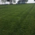 Beautiful Dura-Turf Plus grass mix on a well-maintained lawn. Perfect for durable, vibrant, and heal.