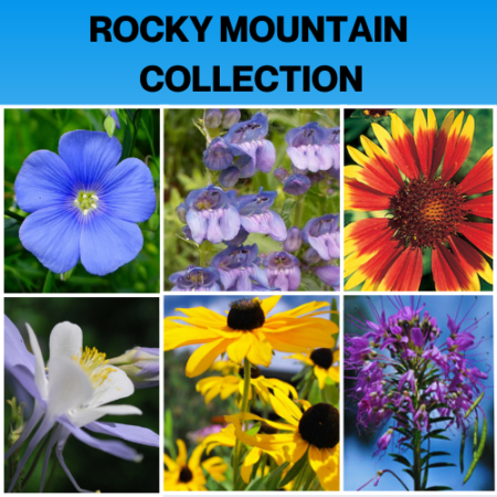 Rocky Mountain Collection