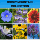 Rocky Mountain Collection