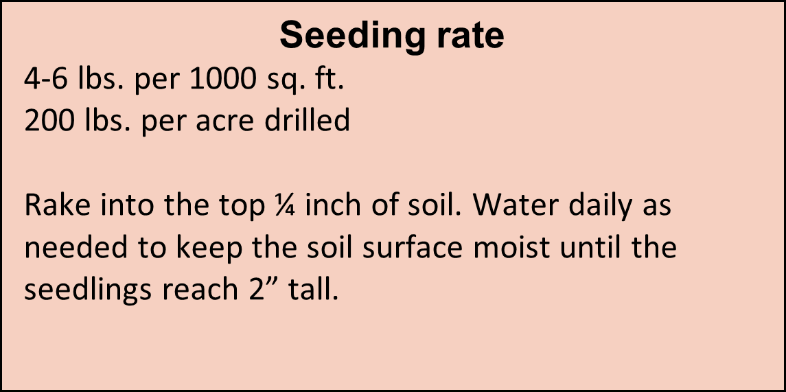 Seeding rates for Supreme Turf Mix.