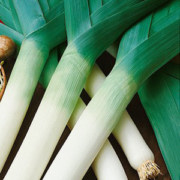 Get A Head Start on Leeks