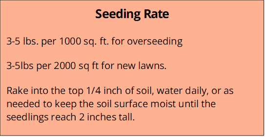 Shady Turf Seeding Rate