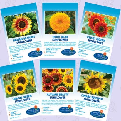 Sunflower Collection Seed Packets