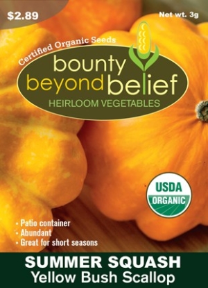 Yellow Bush Scallop Summer Squash Certified Organic Heirloom Vegetable Seed Packet