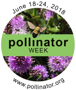 Logo for pollinator week from pollinator.org.