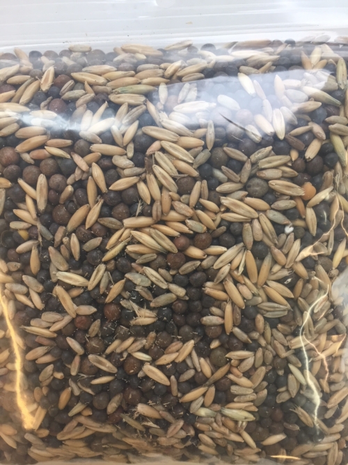 Package of Green Manure Seed Mix.