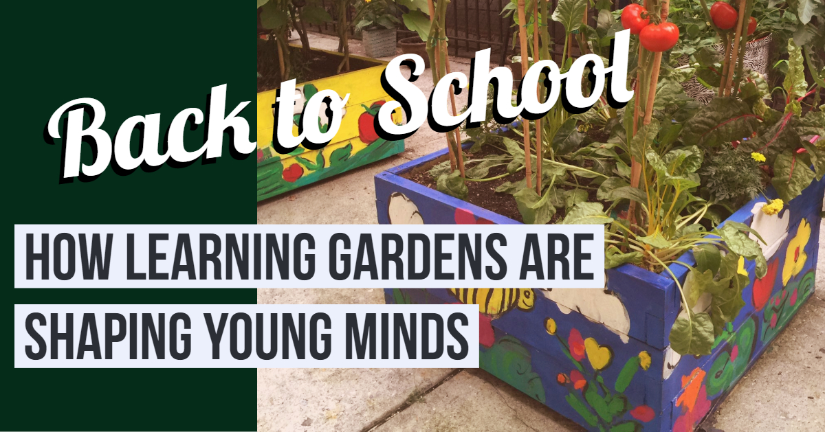 Back to School Learning Gardens.