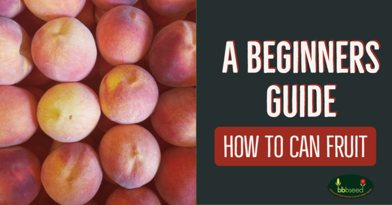 Poster for A beginners Guide to Canning Fruit.