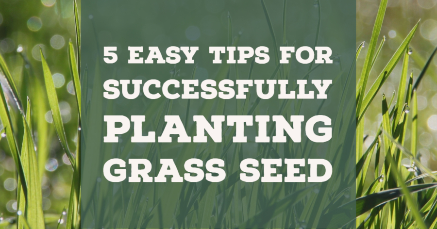 Five easy tips for successfully planting grass seed.