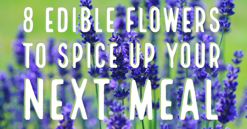 Sign for edible flowers.