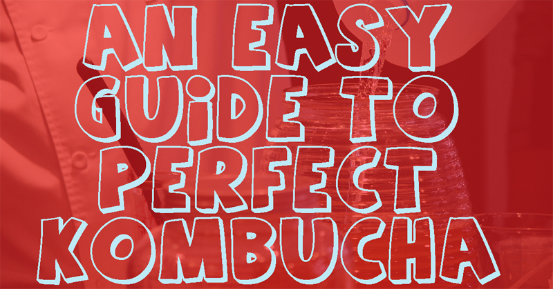 Graphic with the text, "An easy guide to perfect Kombucha."