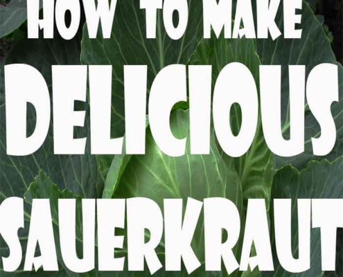 Photo of Green Cabbage with white text stating, "How to make delicious sauerkraut".