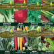 8 seed packet cool season vegetable collection.