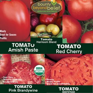 5 seed packet heirloom tomato collection.