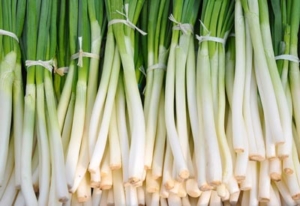 Photo of bunches of green onions tied wtih string.