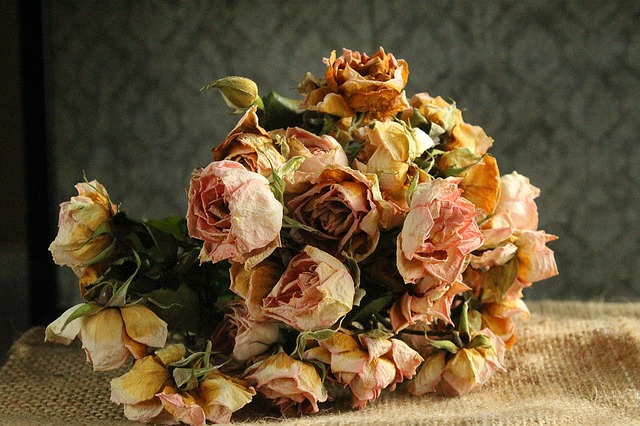 A bouquet of dried roses.