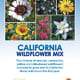 California Wildflower Mix