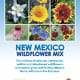 New Mexico Wildflower Mix