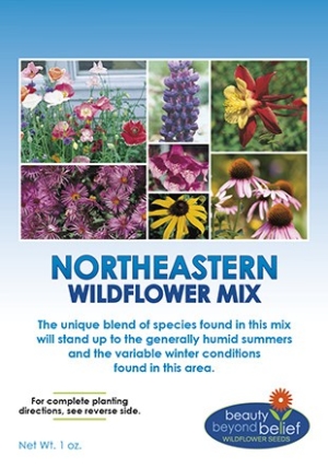 Northeastern Wildflower Mix