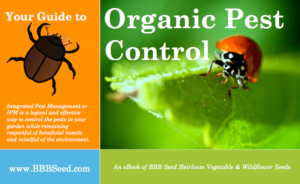 Your Guide To Organic Pest Control EBook | BBB Seed