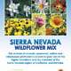 Sierra-Nevada Wildflower Mix