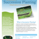 Succession Planting E-Book