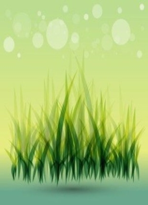 Grasses and Grass Mixes