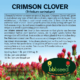 Label on a bag of Crimson Clover seeds.
