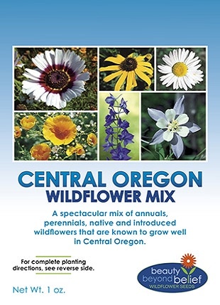 Silver Falls Seed Company - White Wildflower Mix