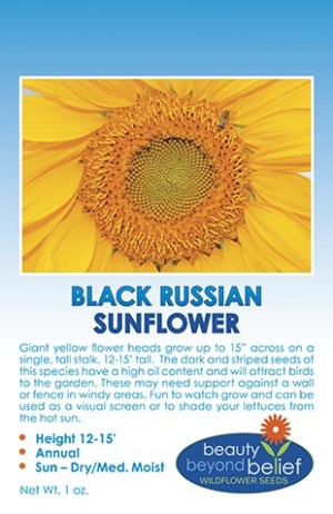 Black Russian Sunflower Seeds
