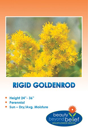 Packet of Rigid Goldenrod seeds.