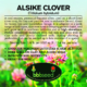 The label on a package of Alsike Clover seed.