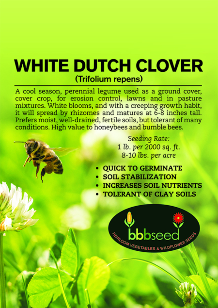 Label on a package of White Dutch Clover seed.
