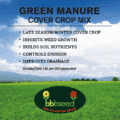 Healthy Micro Clover growing in a lush green field, ideal for eco-friendly lawn cover and soil impro.