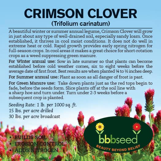 Label on a bag of Crimson Clover seeds.