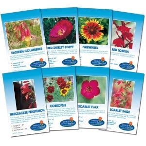 Crimson Flame Flower Collection